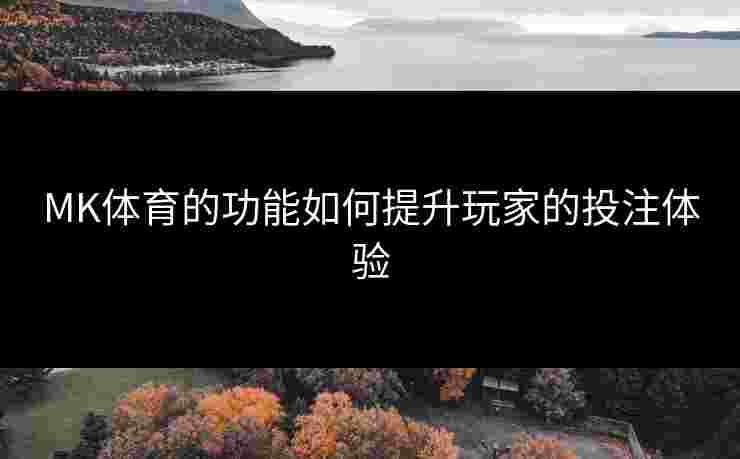 MK体育的功能如何提升玩家的投注体验